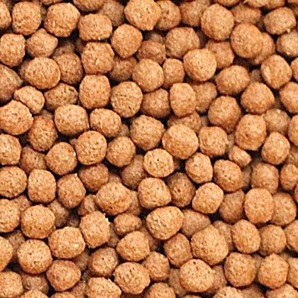 Fish Food - PET HOUSE